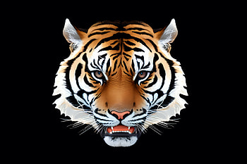 Tiger Face Clipart Logo Design, tiger, face, Animal HD wallpaper