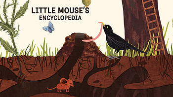 Little Mouse Encyclopedia , videogame, Indiegame, RedDeerGames, indie game, Red Deer Games, LME, Animals, Gameart, Game Art, Kids, video game, Art, Children, LittleMousesEncyclopedia, gaming HD wallpaper