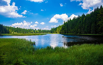 Beautiful landscape of a tranquil lake surrounded by dense green forest under a clear blue sky. HD wallpaper