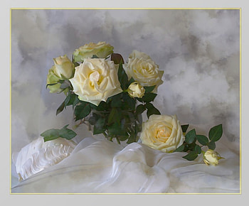 Yellow roses, yelow, life, roses, still HD wallpaper