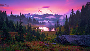Lenticular cloud over Mount Rainier, washington, landscape, trees, colors, sky, lake, sunset, usa HD wallpaper