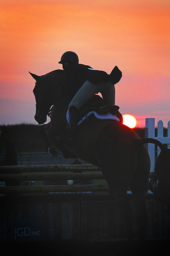 Equestrian life, Horse riders, Equestrian lifestyle, Equestrian community HD phone wallpaper