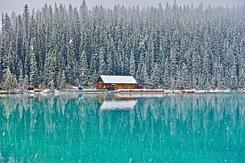 A tranquil winter scene with a cabin by a frozen lake surrounded by snow-covered fir trees. HD wallpaper