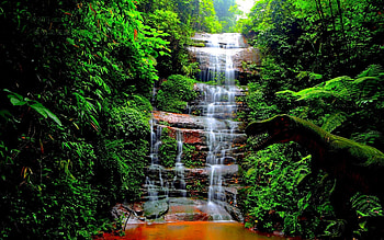 Nature, Trees, Grass, Waterfall, Dinosaur HD wallpaper