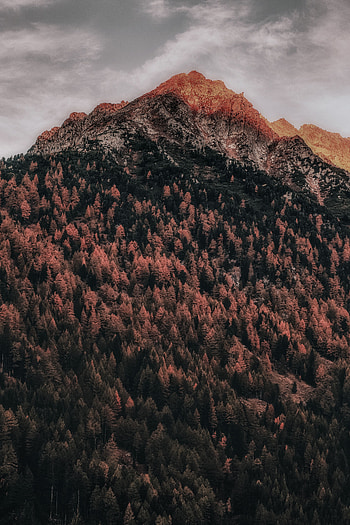 Nature, Clouds, Italy, Mountain, Vertex, Top, Forest, Zillertal Alps, Cilliertal Alps HD phone wallpaper