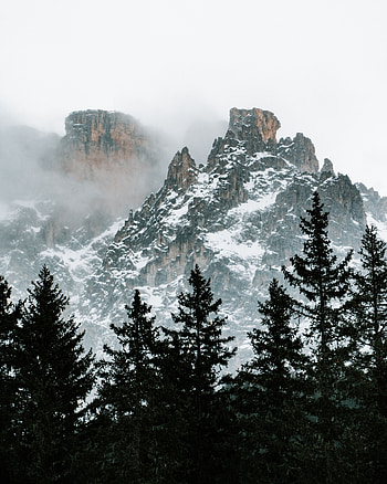 Nature, Trees, Mountains, Clouds, Snow HD phone wallpaper