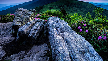 North Carolina, Sky, Flowers, Mountains HD wallpaper