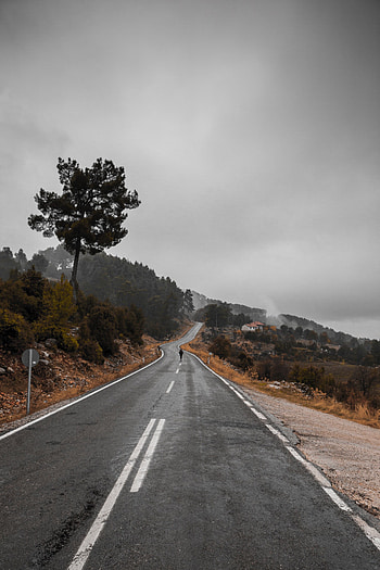 Nature, Silhouette, Wood, Road, Tree, Fog, Loneliness HD phone wallpaper