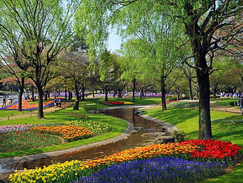 spring rapsody, trees, garden, nature, flowers, colourful HD wallpaper