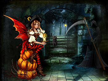 Dark Night, Halloween, Cat, Night, Pumpkin HD wallpaper