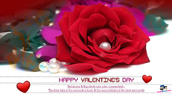 Gotta Love Yaaa, valentine, you, heart, love HD wallpaper