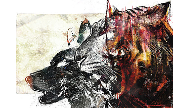 Abstract, , Drawing, Wolf, Tiger HD wallpaper