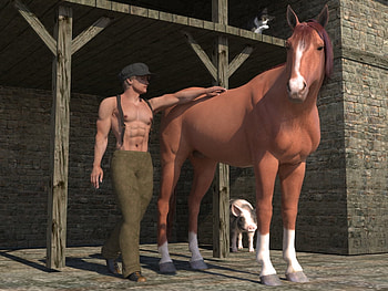 Farmer, horse, muscle, cat, worker, hunk, pig HD wallpaper