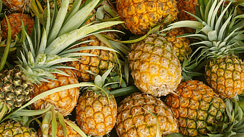 Fresh, Pineapple , Tropical, Backgrounds HD wallpaper