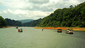 Thekkady, Kerala HD wallpaper