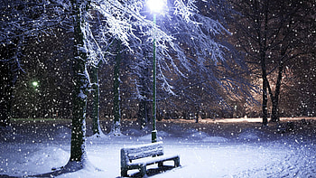 Streetlight Wood Bench Snowfall Forest Trees graphy graphy HD wallpaper