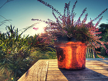 Colorful Array, blue sky, sunshine, table, plants, colors, pot HD wallpaper