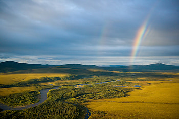 Nature, Rivers, Grass, Rainbow, Field HD wallpaper