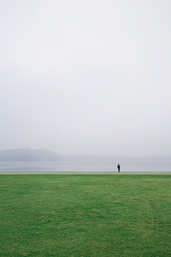 Grass, Horizon, Seclusion, Privacy, Minimalism, Field, Loneliness HD phone wallpaper