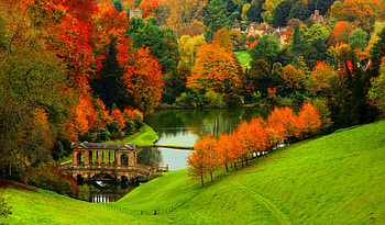 Autumn in countryside, river, colorful, town, peaceful, houses, serenity, trees, autumn, slope, fall, beautiful, grass, vilalge, lake, view, bridge, nature, lovely, countryside, foliage HD wallpaper