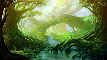 Fantasy Forest Resolution HD wallpaper