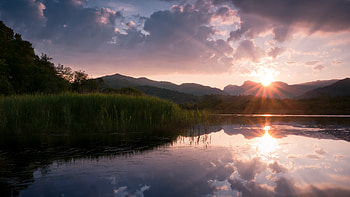 Nature, Sun, Lake, Reeds HD wallpaper