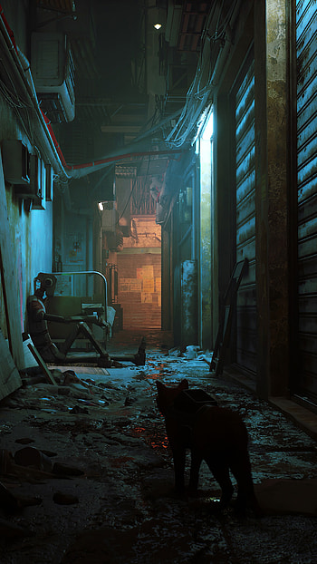 Stray game, Screenshot , PlayStation 5 showcase, Incredible visuals HD phone wallpaper