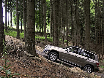 Transport, Landscape, Auto, Trees HD wallpaper