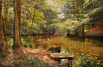 beautiful natur, trees, river, natur, wald HD wallpaper