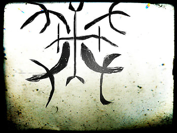 The Sign of the Eleven Doctores of Terravan, elf, doctor, assassin, terravan HD wallpaper