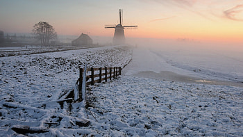 Winter, Nature, Snow, Mill HD wallpaper