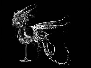 Dragon-de-agua, white, black, agua, dragon, glass, water HD wallpaper