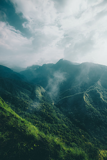 Nature, Trees, Mountains, Clouds, View From Above, Fog HD phone wallpaper