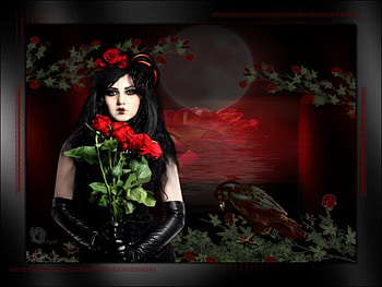 roses for you, gothic, roses, fantasy HD wallpaper