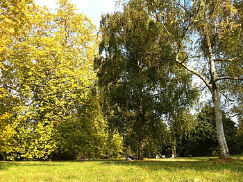 Landscape, Nature HD wallpaper