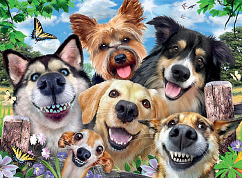 Selfie, dog, animal, smile, face, funny, caine HD wallpaper