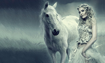 The wind of heaven, wind, horse, blows, heaven HD wallpaper