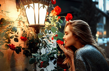 lady, model, abstract, beauty HD wallpaper