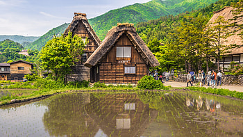 Serene village, Proximity to nature, Wildlife sanctuary, Ecotourism hub HD wallpaper