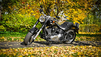 Autumn Ride with Harley-Davidson, motorcycle, Harley-Davidson HD wallpaper