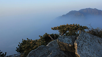 five old man peaks jiangxi china, trees, fog, mountains, rocks HD wallpaper
