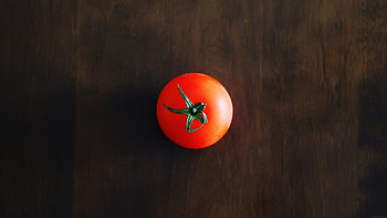 Nature graphy, Organic tomato, Fresh harvest, Natural food HD wallpaper
