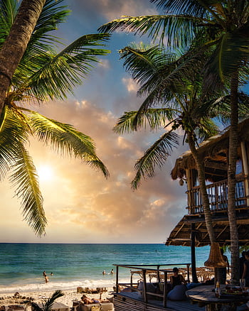 Stunning sunset view at Tulum Beach, Mexico, showcasing coconut palms and tranquil ocean. HD phone wallpaper