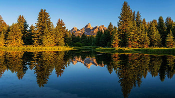 Sunrise in Wyoming, sky, water, reflections, trees, mountains, usa HD wallpaper