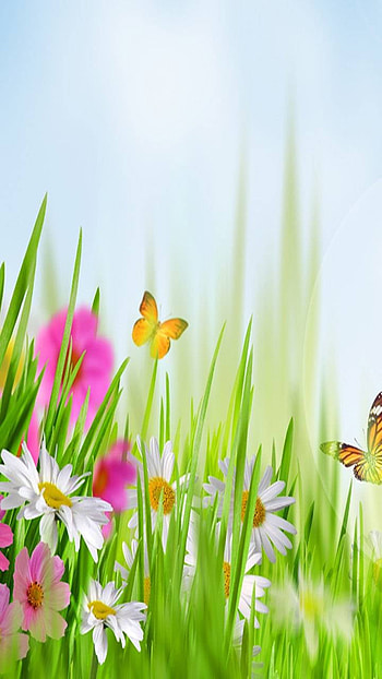 Springtime, flower, butterfly, grass, artistic, spring HD phone wallpaper
