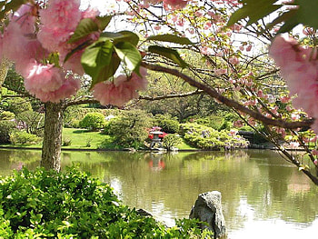 Springtime, garden, nature, spring HD wallpaper