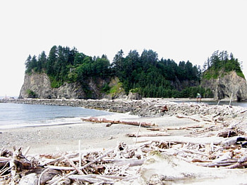 La push, new moon, twilight, first beach HD wallpaper