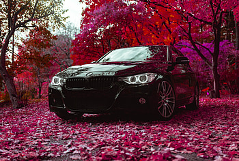 Bmw, Cars, Car, Front View, Machine, Bmw F30 335I HD wallpaper