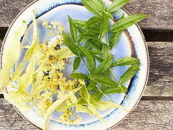 Lemon Verbena, Lime blossom cordial, Refreshing recipe, Zesty twist HD wallpaper