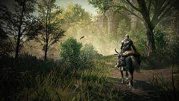 Elden Ring Game - Mystical Forest Knight, video game, Elden Ring, Tarnished (Elden Ring) HD wallpaper
